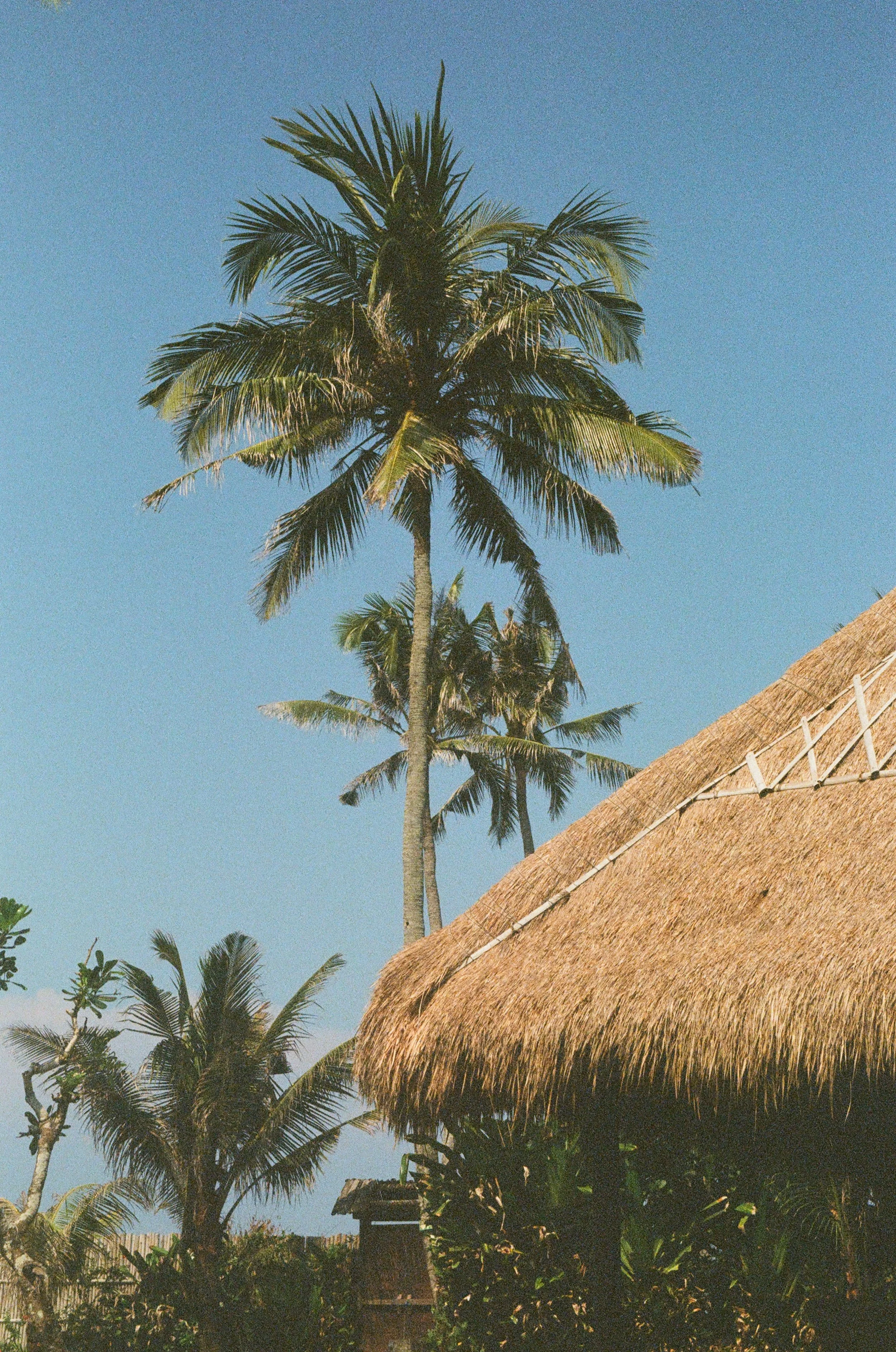 04.jpg