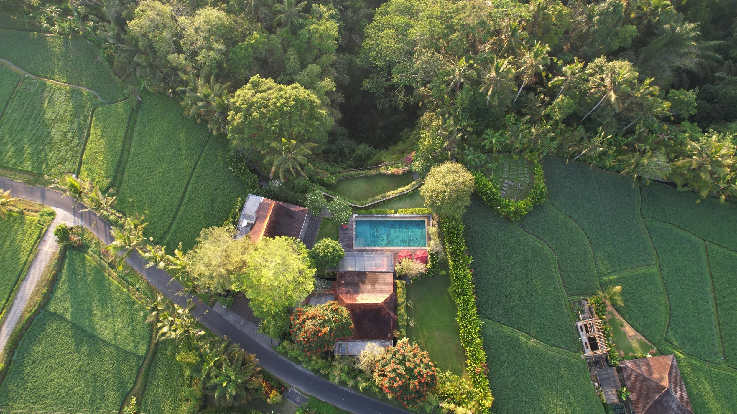DJI_0815.JPG