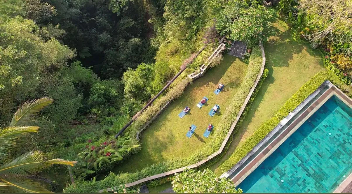 WhatsApp Image 2025-11-05 at 02.31.16.jpeg