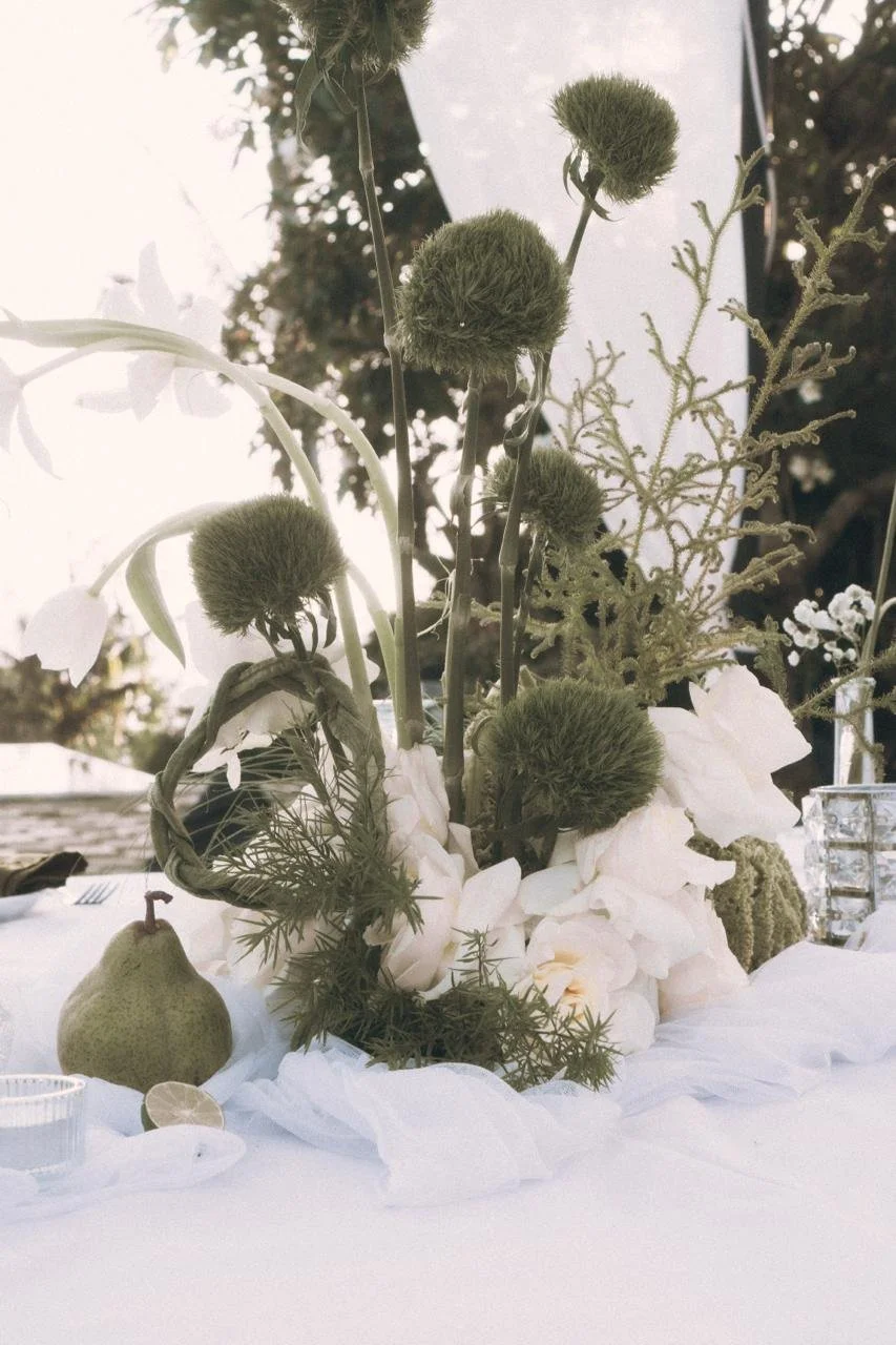 KakaoTalk_Photo_2025-11-05-13-43-28 003.jpeg