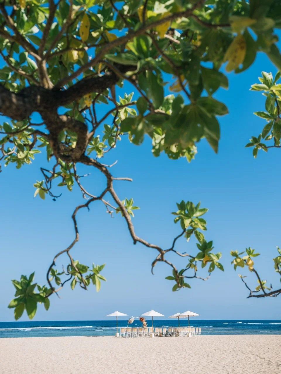 GHBALI - WEDDING SET UP Large.jpeg