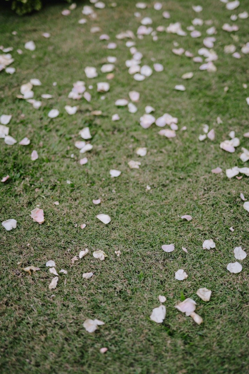227 - Dongju Lim & Hyeeun Lee Wedding Large.jpeg
