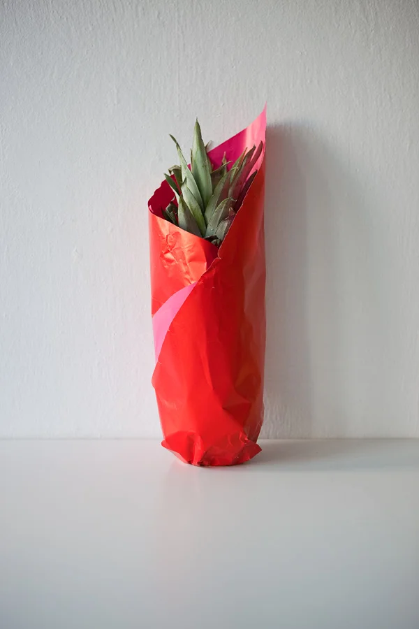 Untitled (Pineapple wearing red & pink), Paris 2009 (54/38 cm)