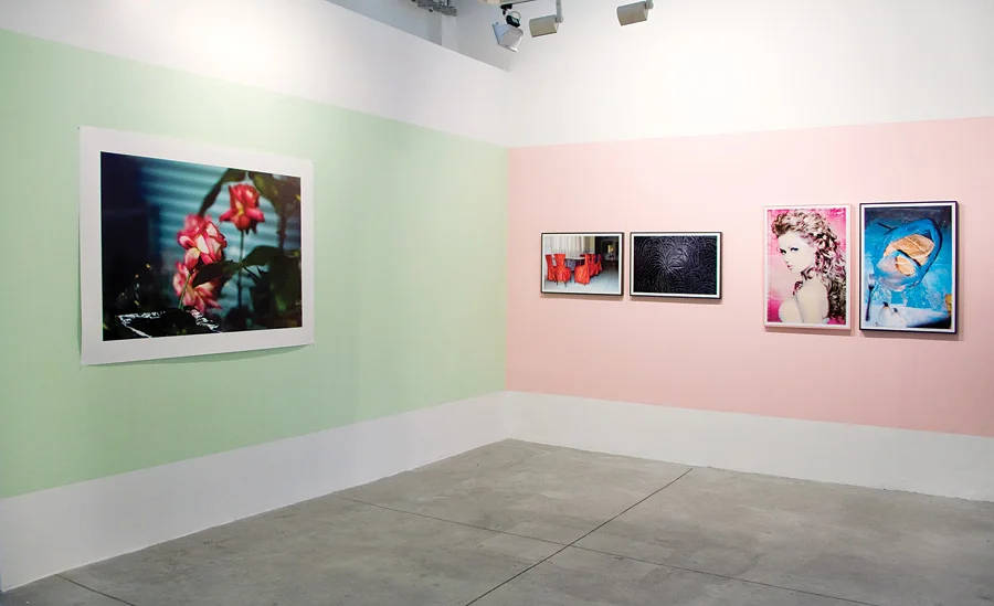 'Every Monkey is a Gazelle in Its Mother's Eyes' , Solo Exhibition, Installation View, Braverman Gallery, Tel Aviv, November-December 2009