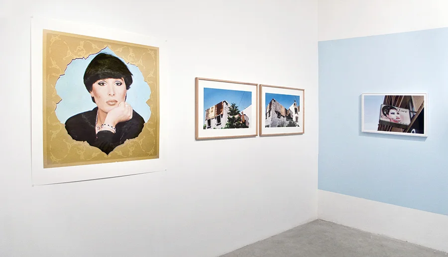 'Every Monkey is a Gazelle in Its Mother's Eyes' , Solo Exhibition, Installation View, Braverman Gallery, Tel Aviv, November-December 2009