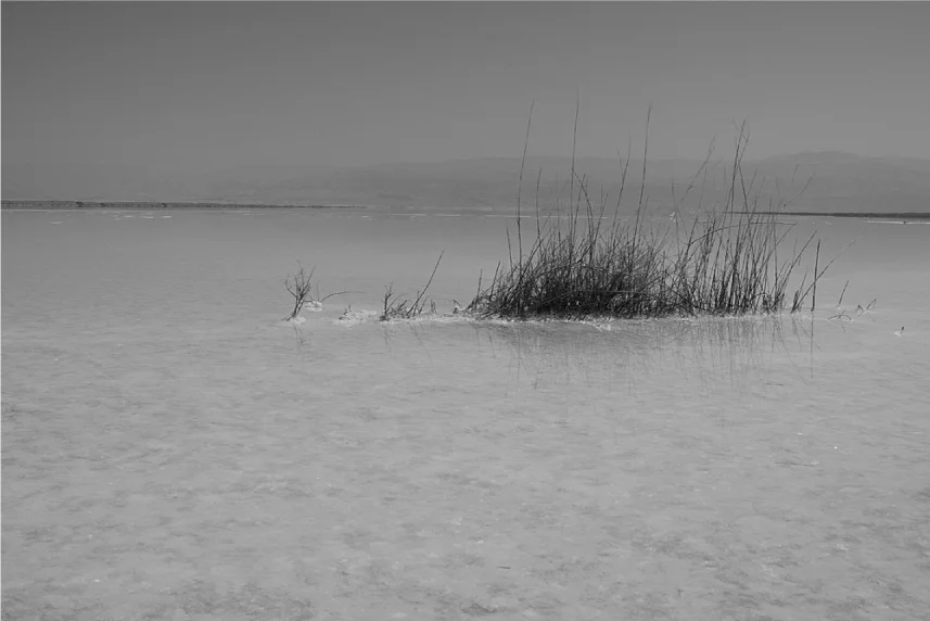 Untitled, (Dead Sea), 2010 