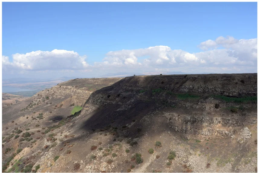 Untitled, Landscape, North Of Israel 2010