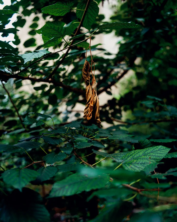 Untitled (NY) 2006 (110/88 cm)