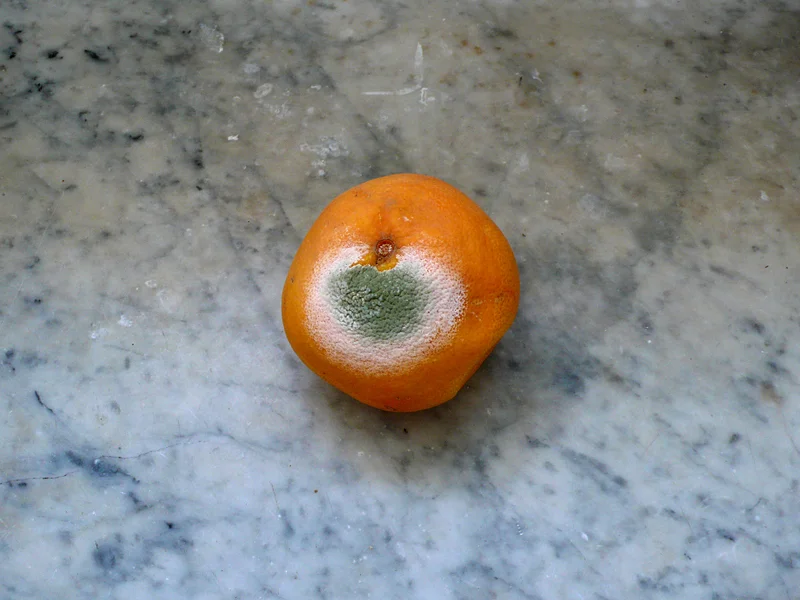   Untitled (    Orange      ), Tel Aviv 2007 [8/42]      