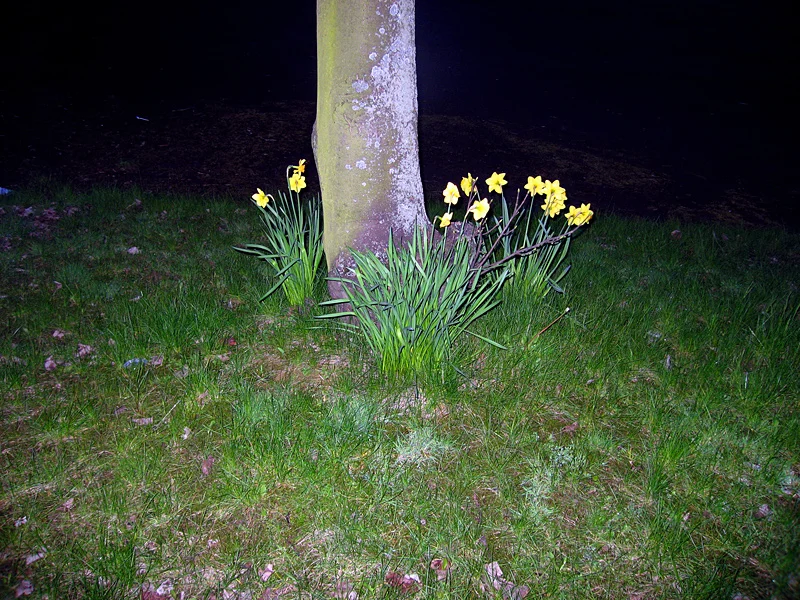   Untitled,   Glasgow 2006 [13/42]    &nbsp; 