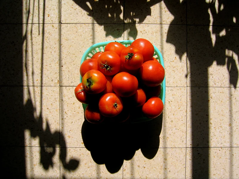   Untitled, Jerusalem   2007 [26/42]      