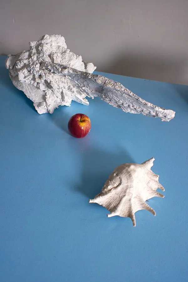 Untitled (Ocen), NY 2012