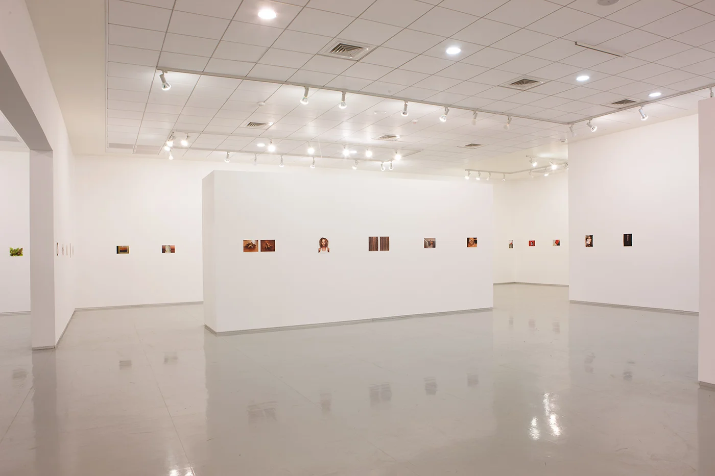 Last Light , Installation View, The Open Museum of Photography, Tel Hai Industrial Park, June 2015 - April 2016 Curated By Naama Haikin