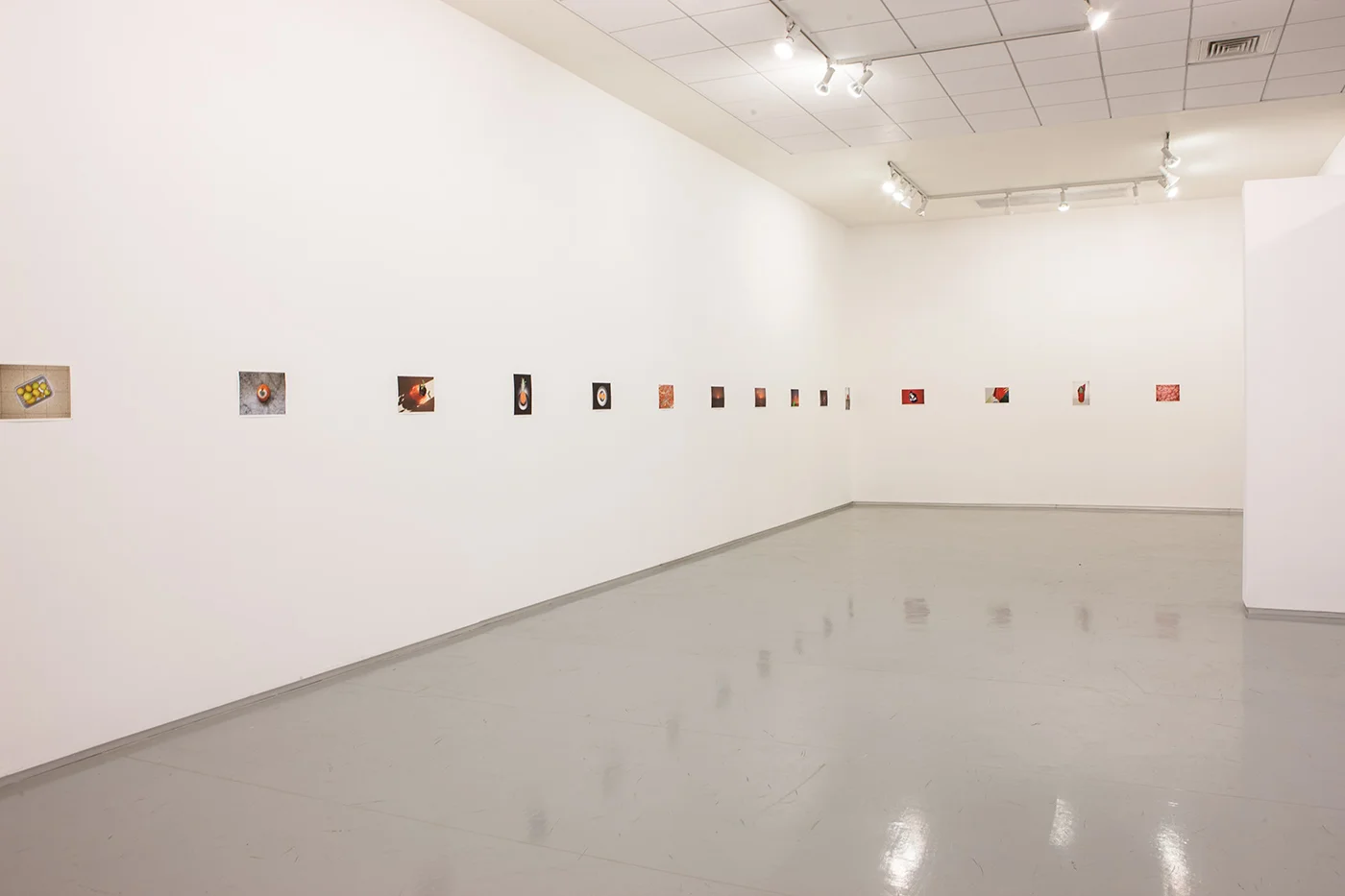 Last Light , Installation View, The Open Museum of Photography, Tel Hai Industrial Park, June 2015 - April 2016 Curated By Naama Haikin