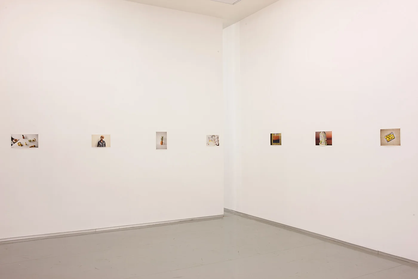 Last Light , Installation View, The Open Museum of Photography, Tel Hai Industrial Park, June 2015 - April 2016 Curated By Naama Haikin