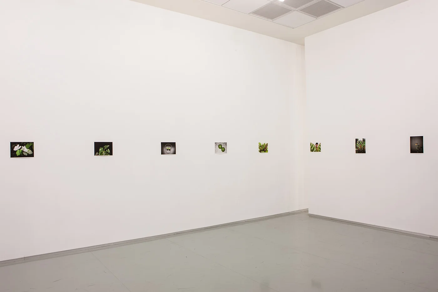 Last Light , Installation View, The Open Museum of Photography, Tel Hai Industrial Park, June 2015 - April 2016 Curated By Naama Haikin