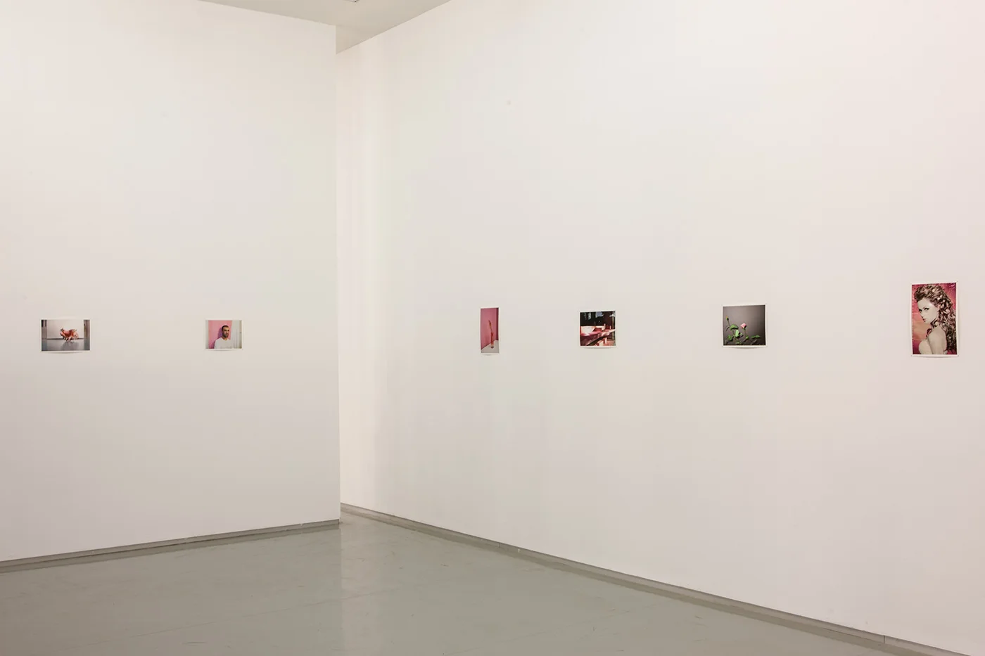Last Light , Installation View, The Open Museum of Photography, Tel Hai Industrial Park, June 2015 - April 2016 Curated By Naama Haikin