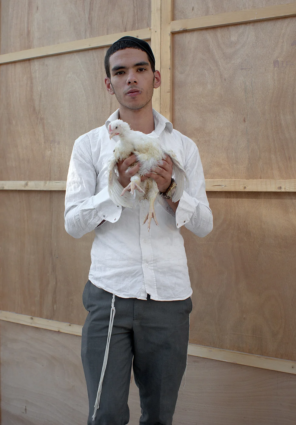 Untitled (Kapara), Jerusalem, 2012 , color photograph, inkjet print