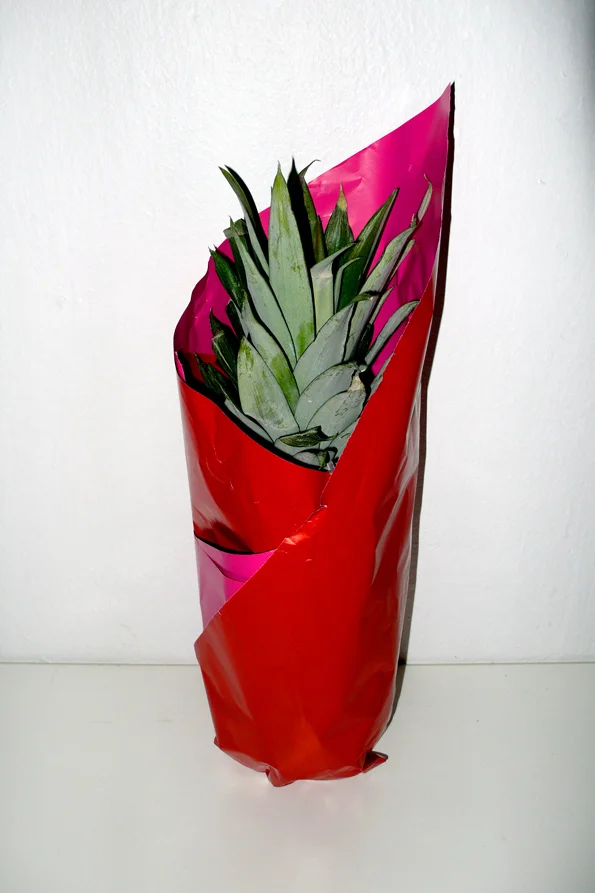    Untitled (Pineapple), Paris, 2009  , color photograph, inkjet print 