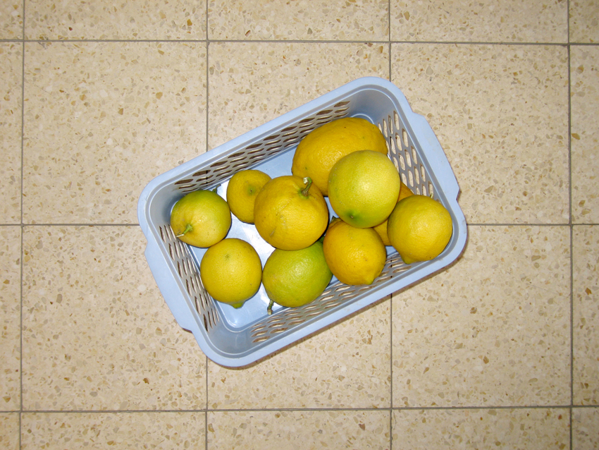    Untitled, Jerusalem (Lemons), 2006  , color photograph,&nbsp;inkjet print 