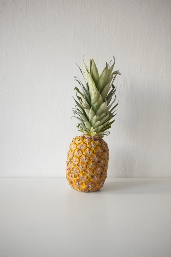 Untitled (Naked Pineapple) , Paris, 2008, color photograph, inkjet print