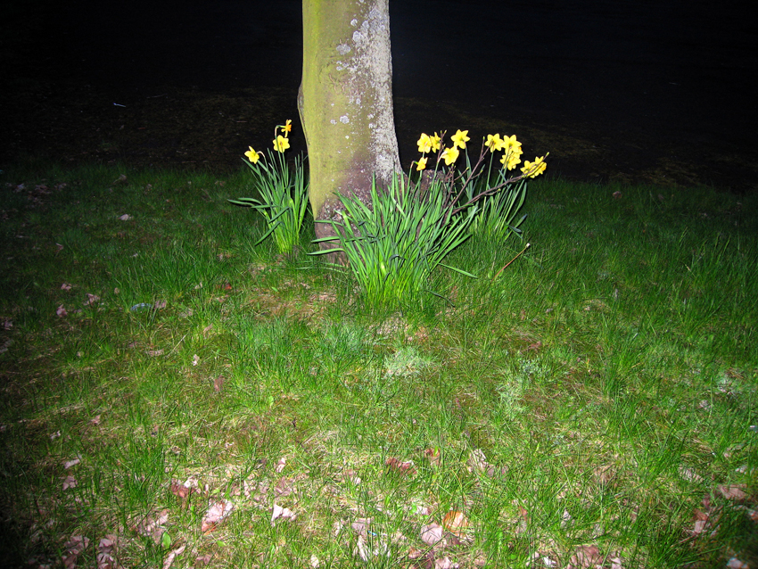    Untitled, Glasgow, 2006  , color photograph,&nbsp;inkjet print 