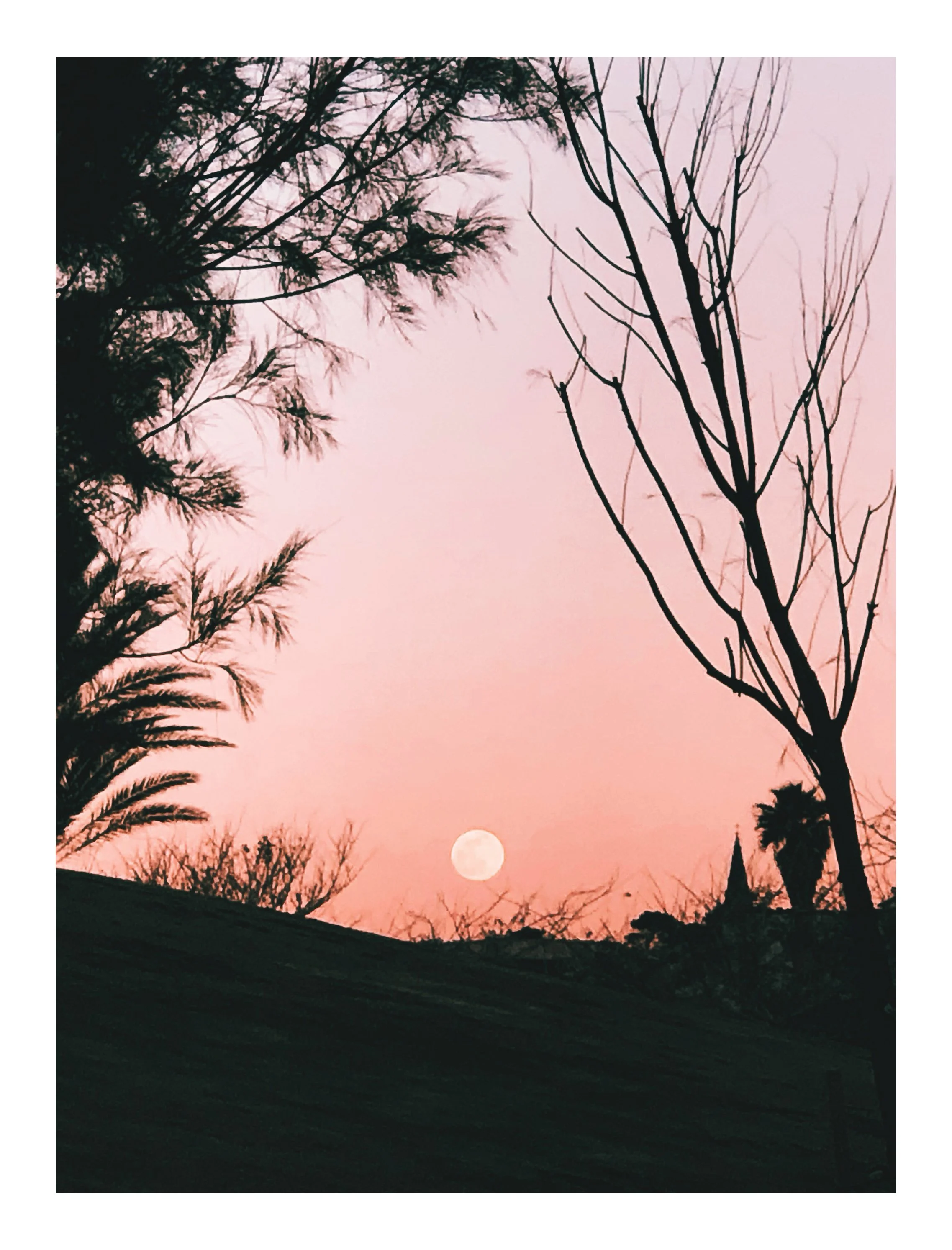 Twilight_0012.jpg