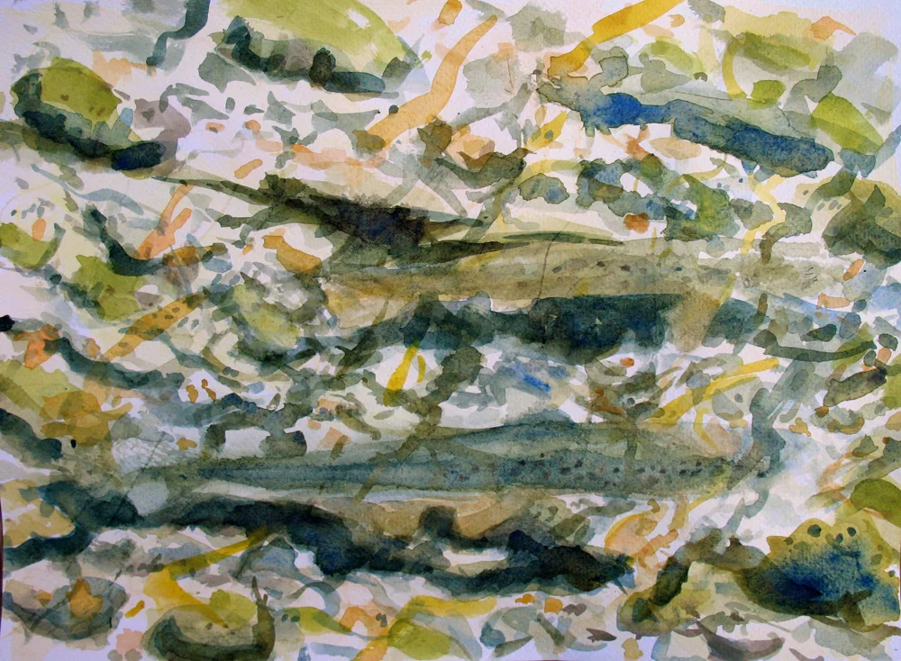 Dappled Light.