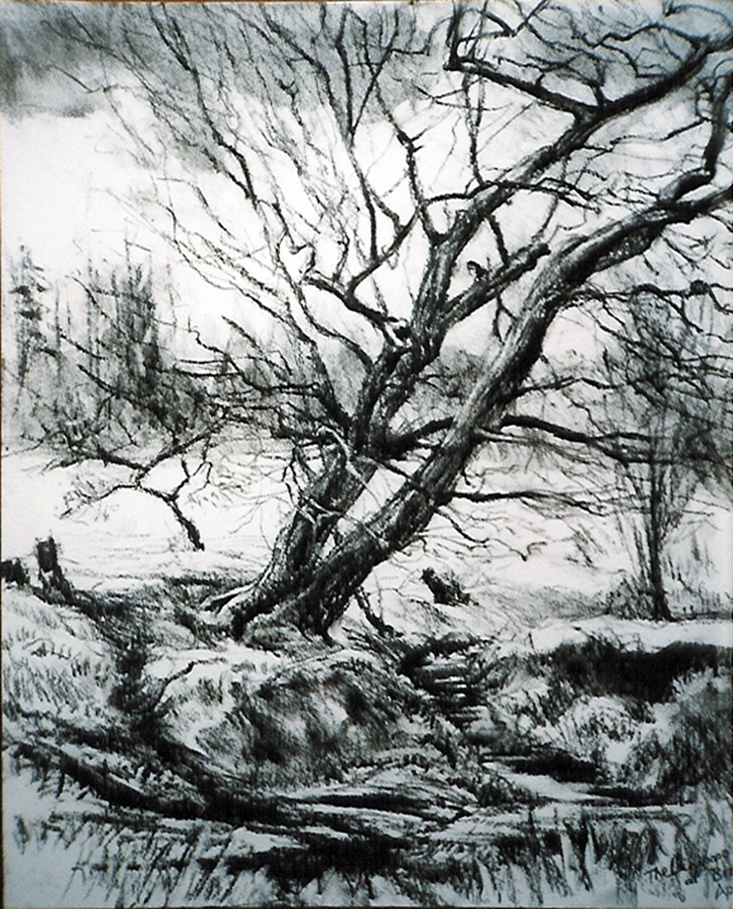 A Stream, Bradfield, Berks.