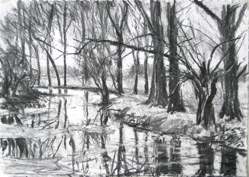 A Poplar Stand on the river Pang.