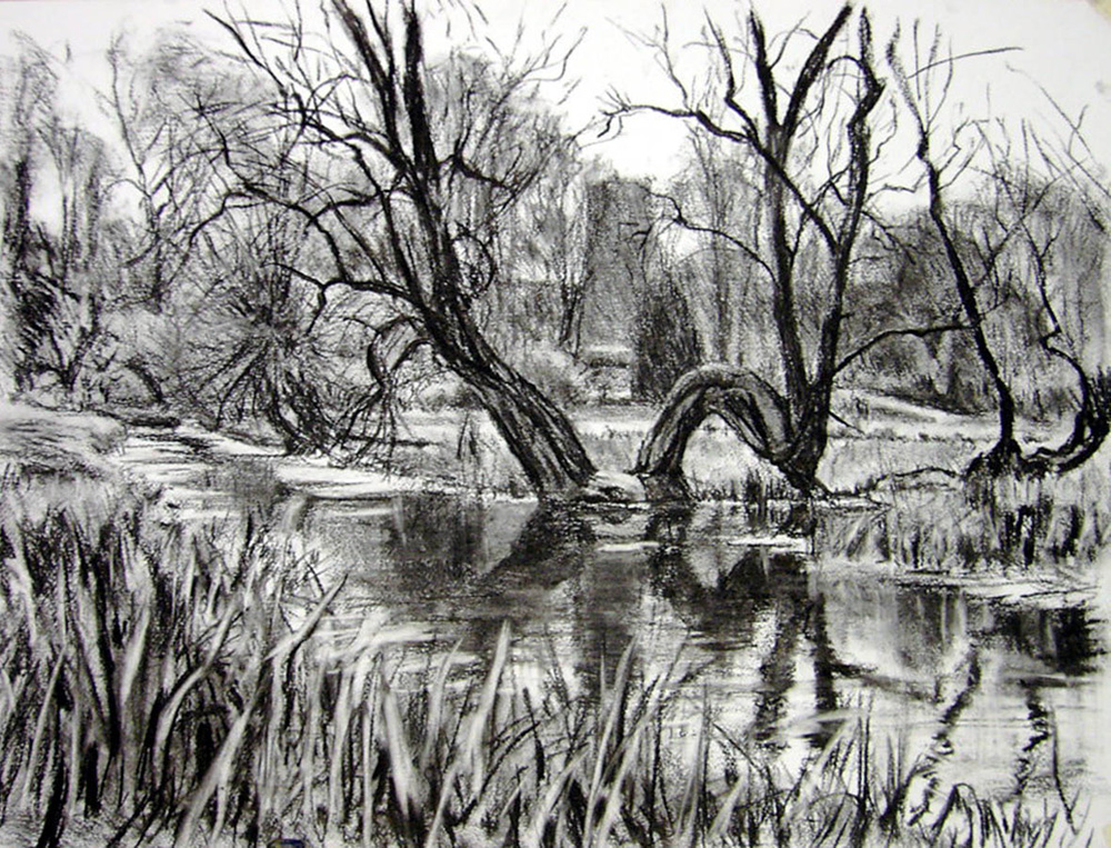 Bent Willow. Framlingham, Suffolk.