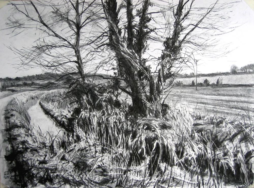 Poplars on the Pang, near Bucklebury.