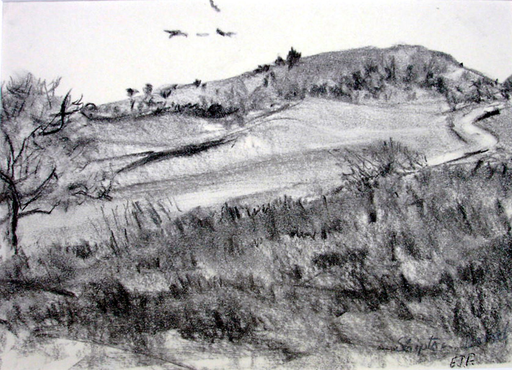 Shipton Hill Fort, West Dorset.