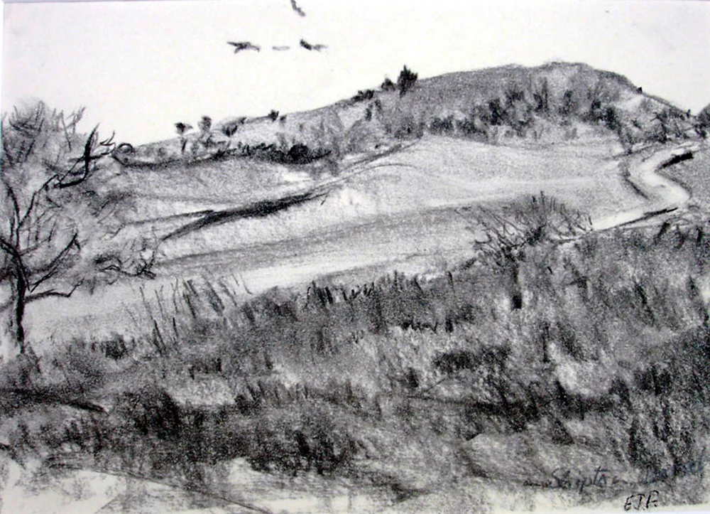 Shipton Hill Fort, West Dorset.