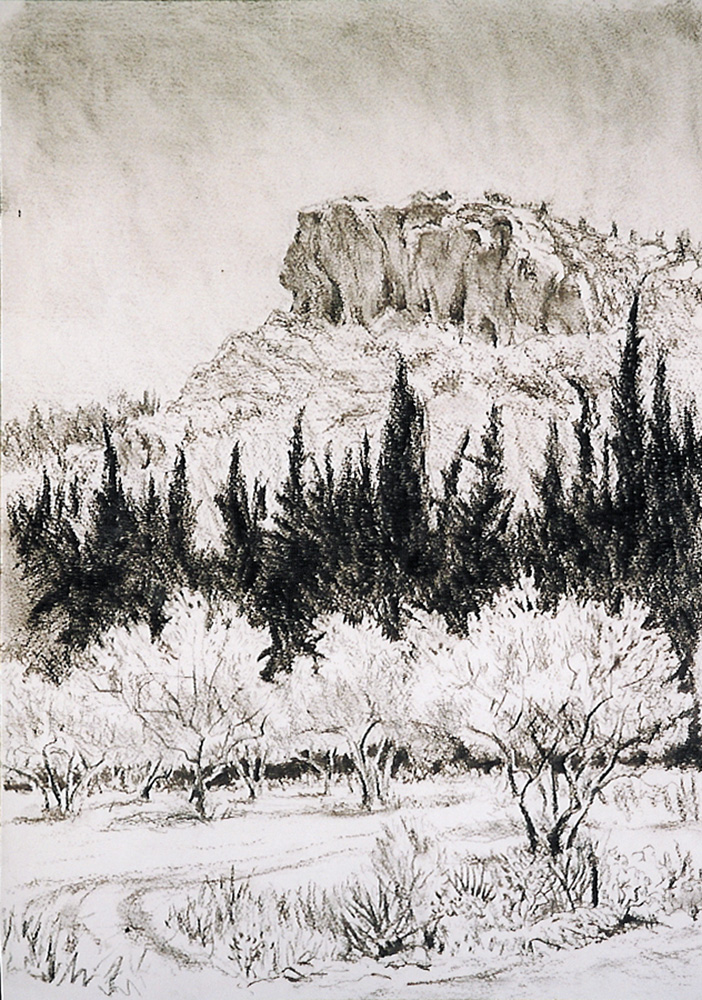 Olive trees, cypruses and rocky outcrop. The Alpilles, Provence.