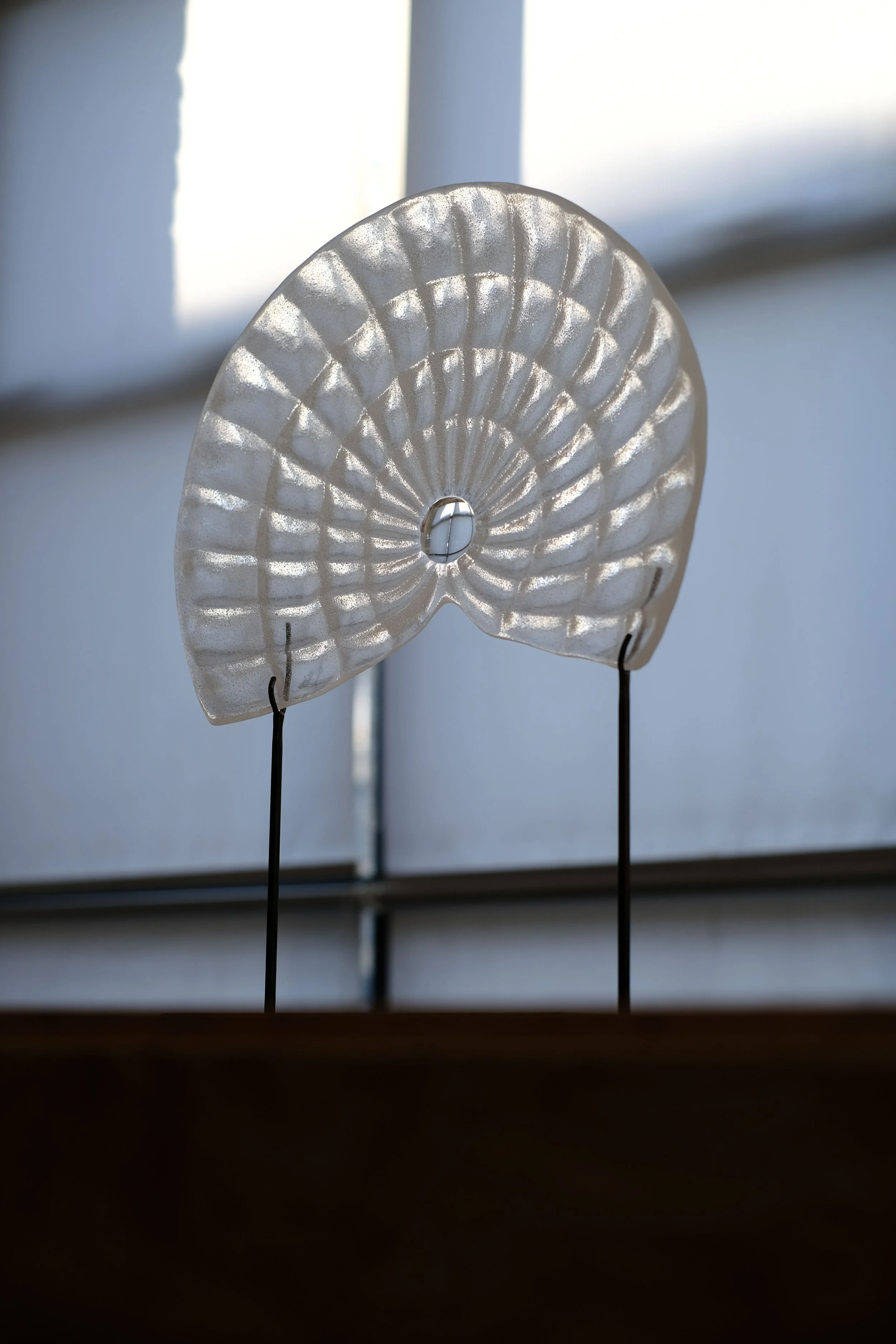 Large Fan - A thousand eyes-6.jpg