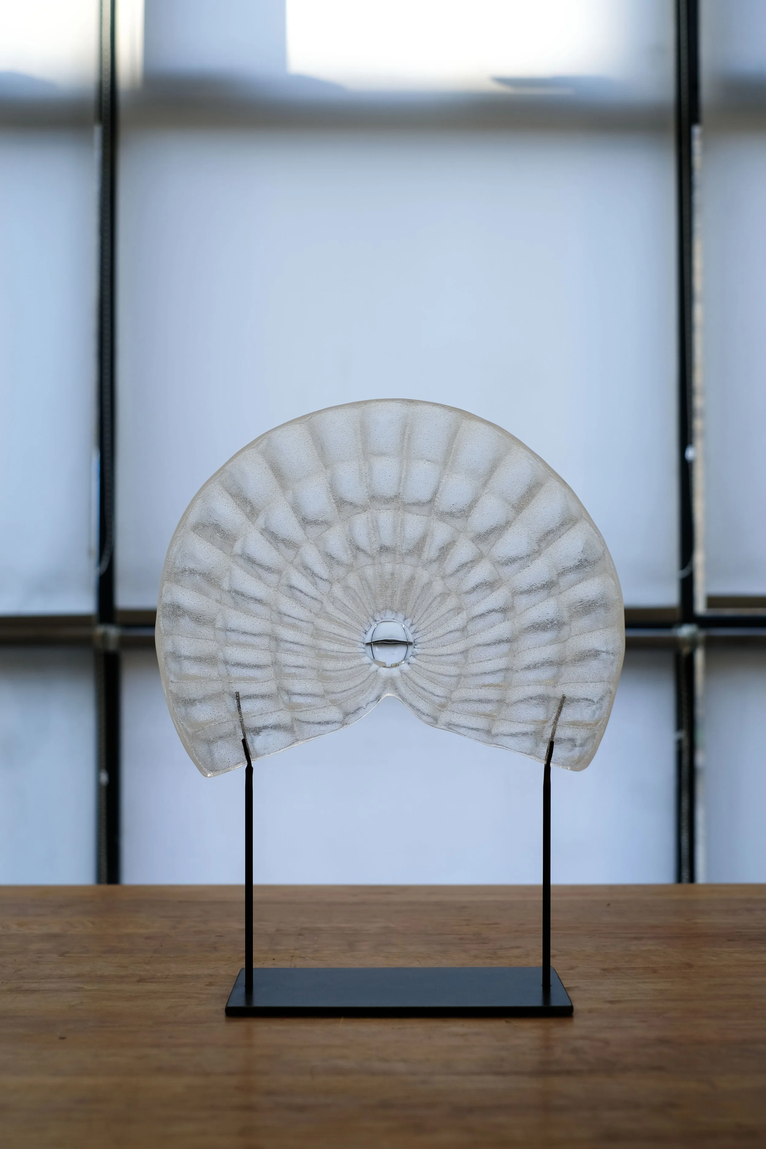 Large Fan - A thousand eyes-2.jpg