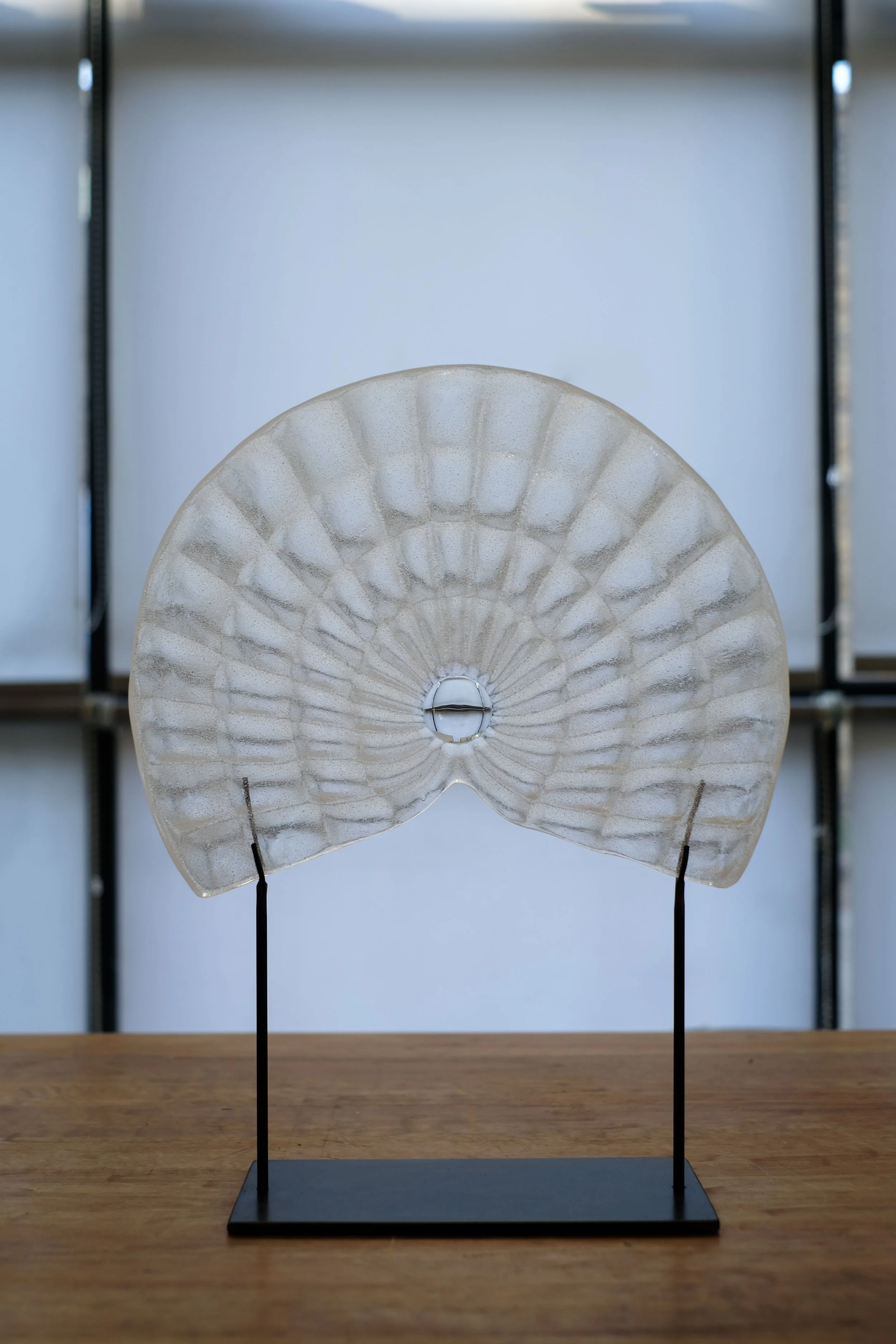Large Fan - A thousand eyes.jpg
