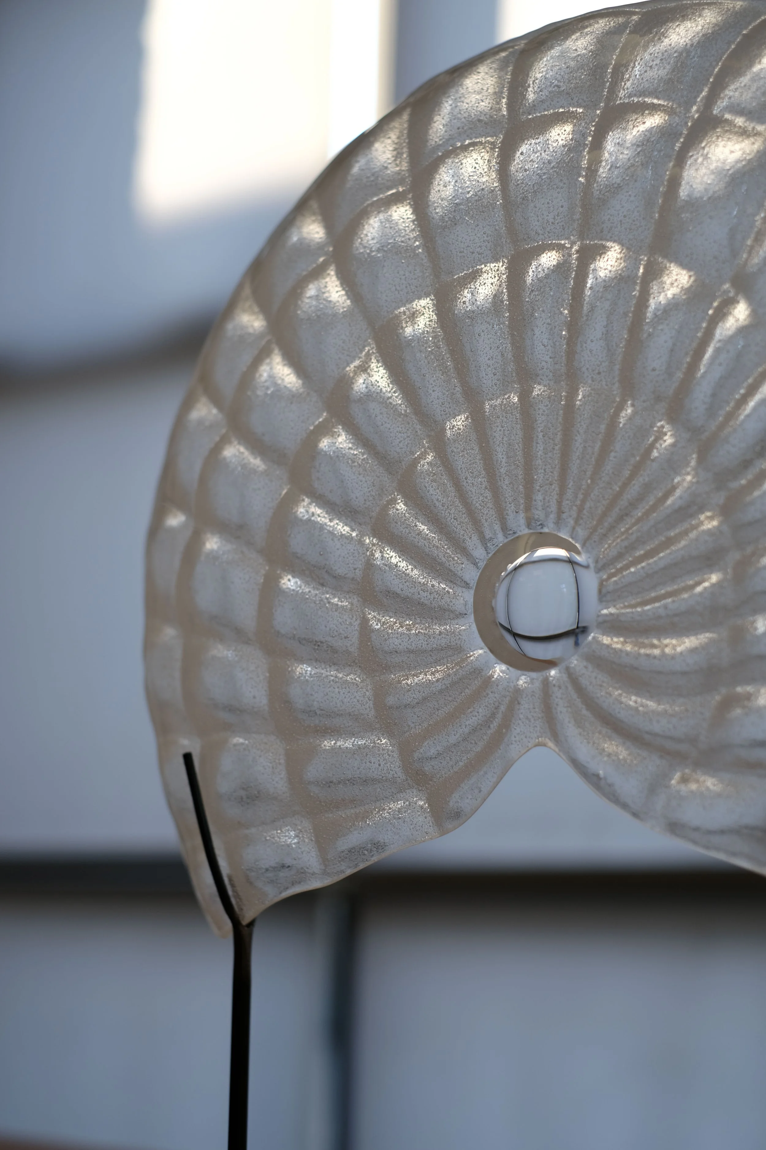 Large Fan - A thousand eyes-11.jpg