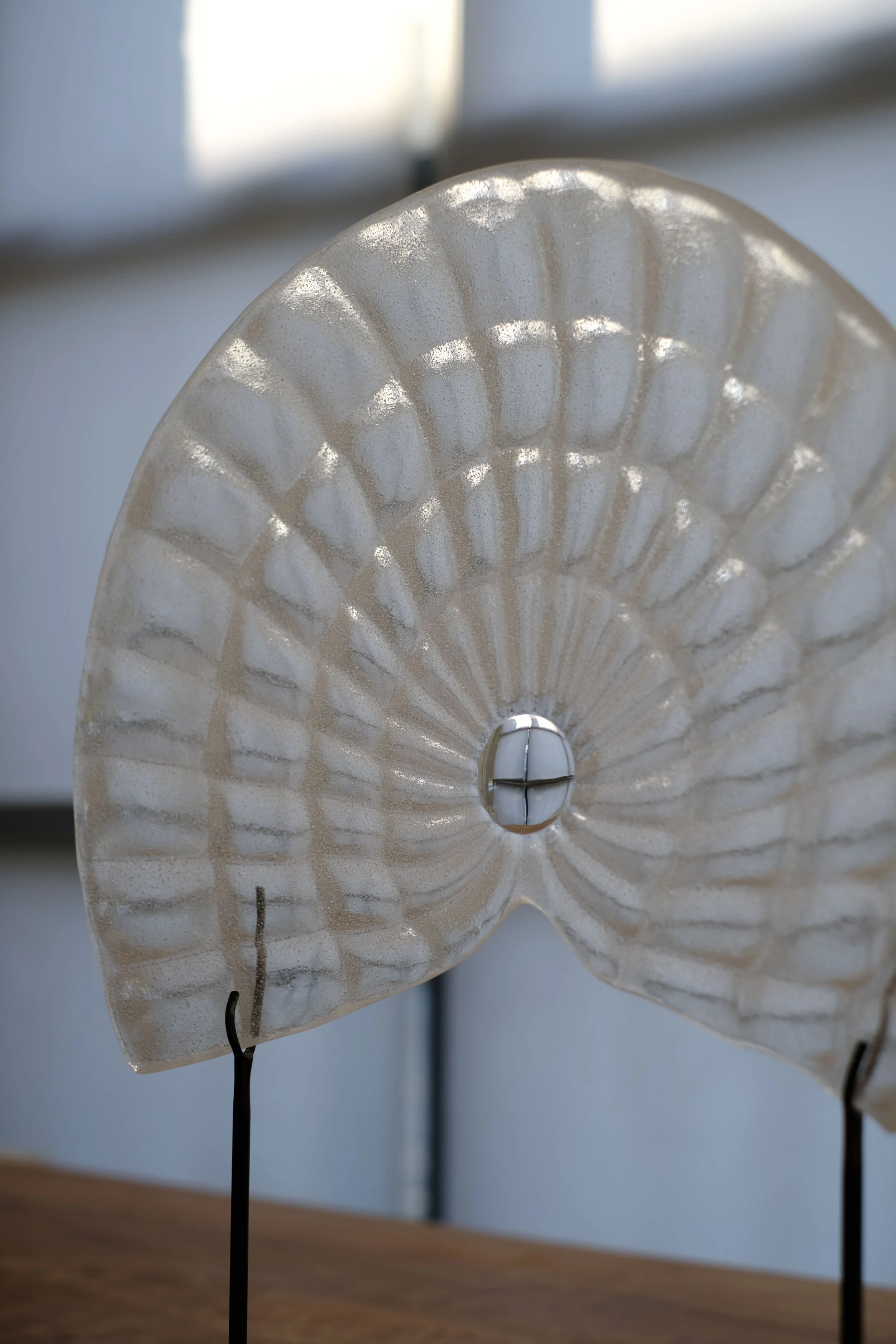 Large Fan - A thousand eyes-4.jpg