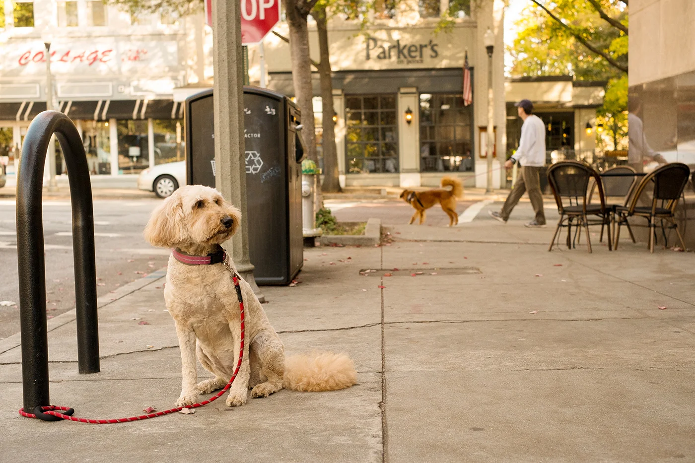 02-airbnb-atl_decatur-02.jpg