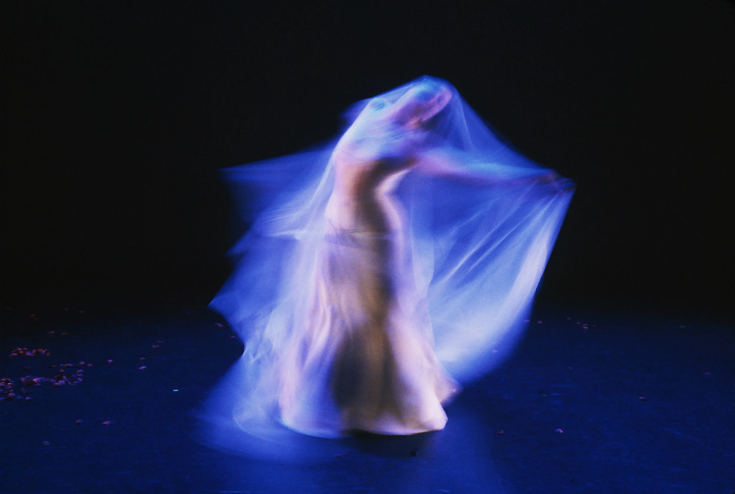 INNOCENTS Paula McGonagle. Photo by Rachel Dickstein.
