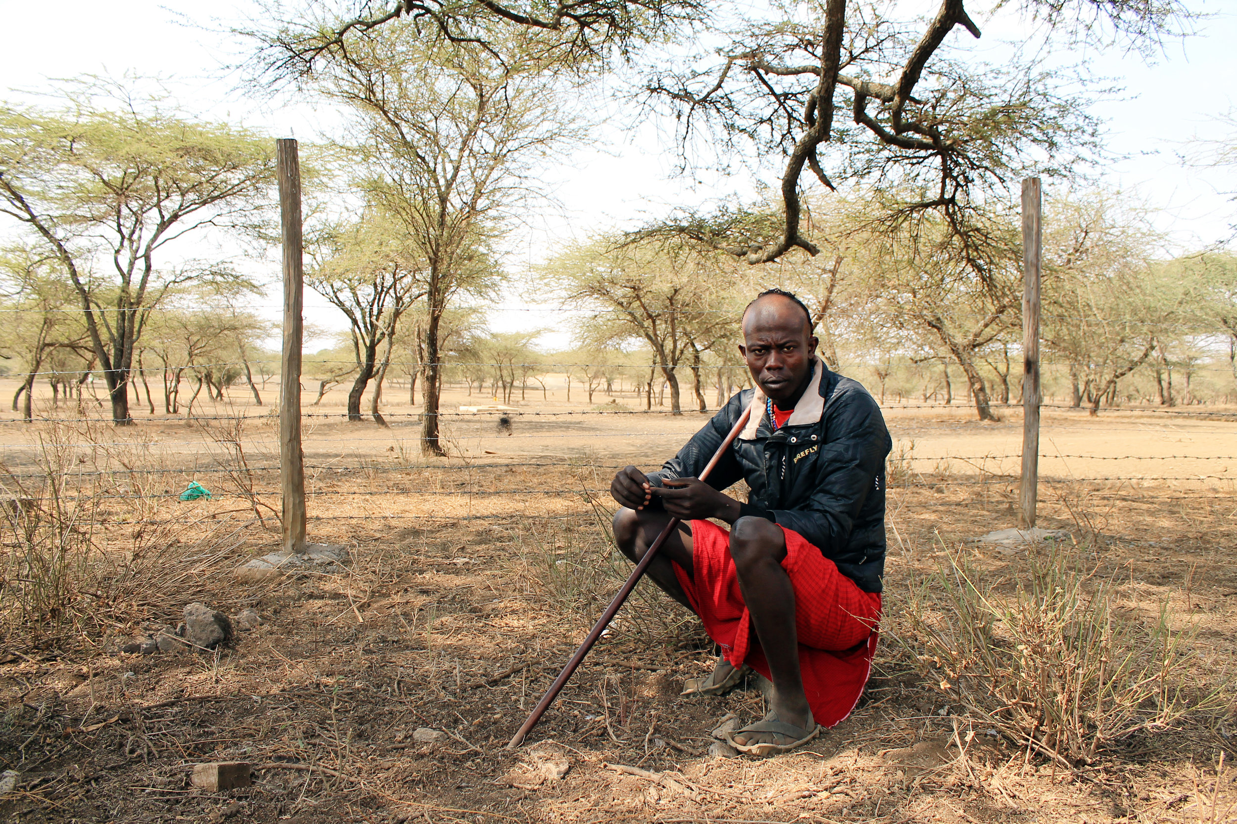 Especially in the dry season, lack of water and vegetation due to degradation make it very difficult for herder and head of the morans (Maasai warriors) Masheer Torei to sustain his livestock. Torei now needs to travel long distances in search of pasture, and even further to find water. (© Conservation International/photo by Christina Ender)