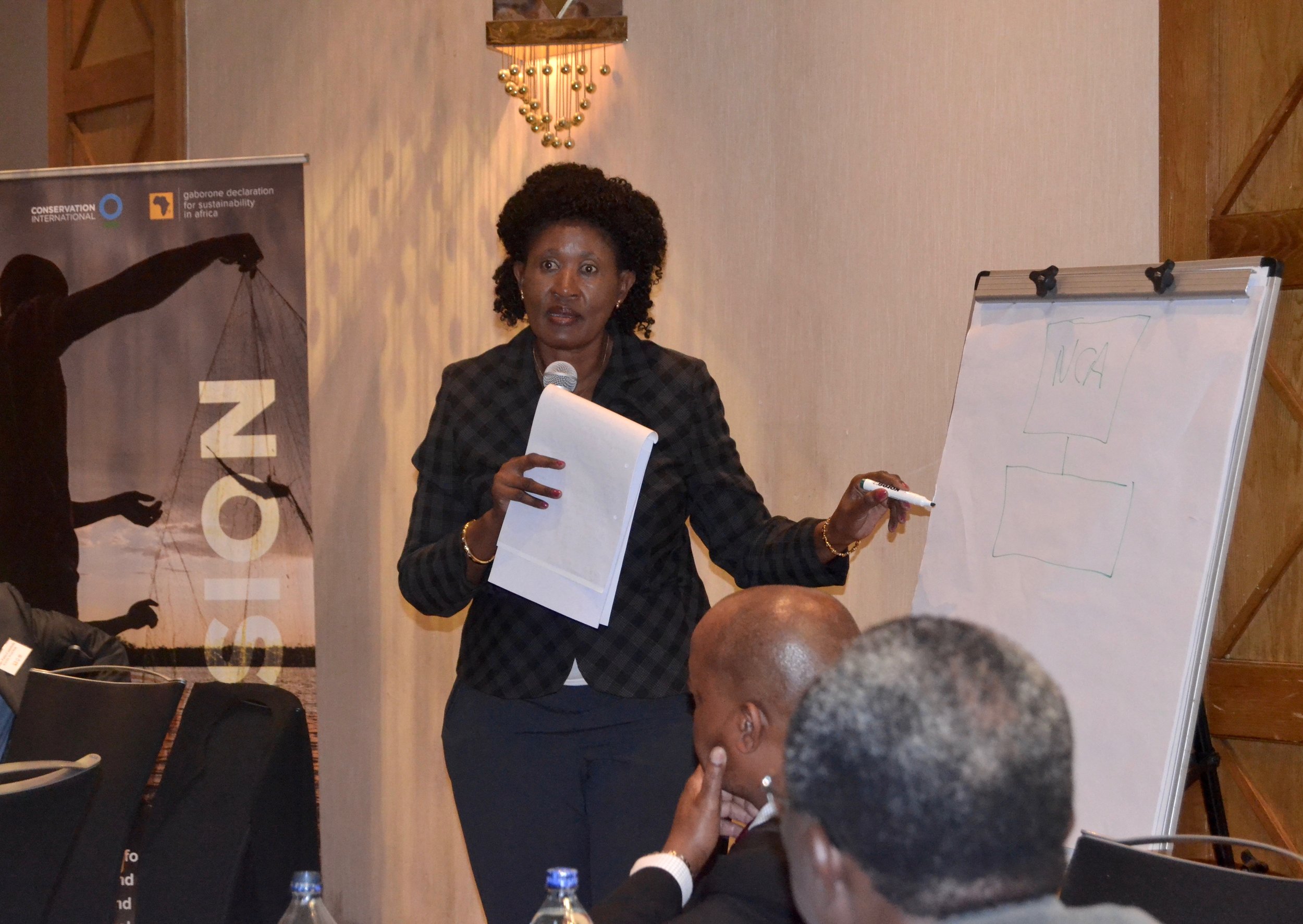 Portia Segomelo, National Advisor for WAVES Botswana, makes a point for discussion during the "Regional Perspectives on Natural Capital Accounting” workshop.