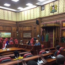 Carlos Manuel Rodriguez, Vice President at Conservation International, addressing parliament.