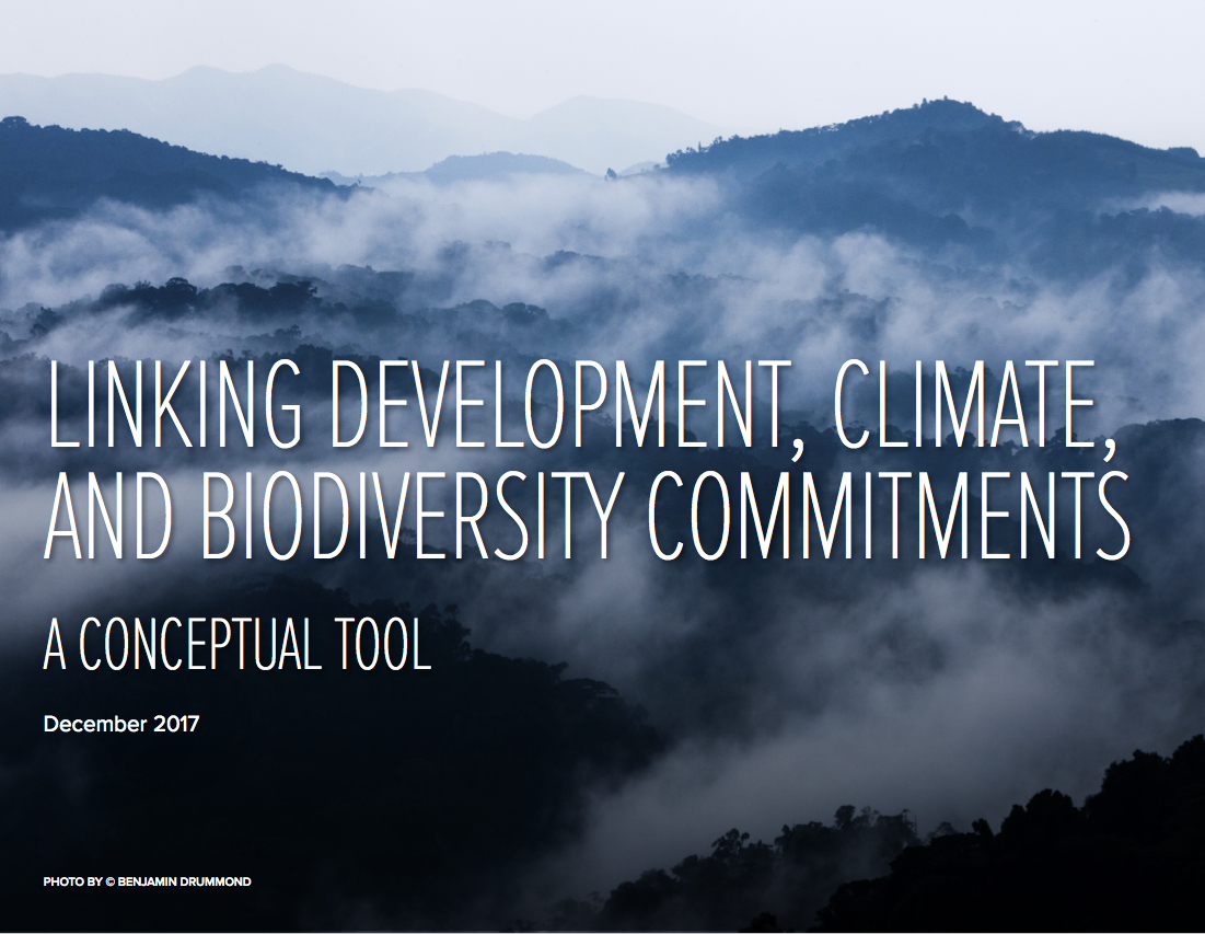 CI and GDSA SDGs conceptual tool.jpg