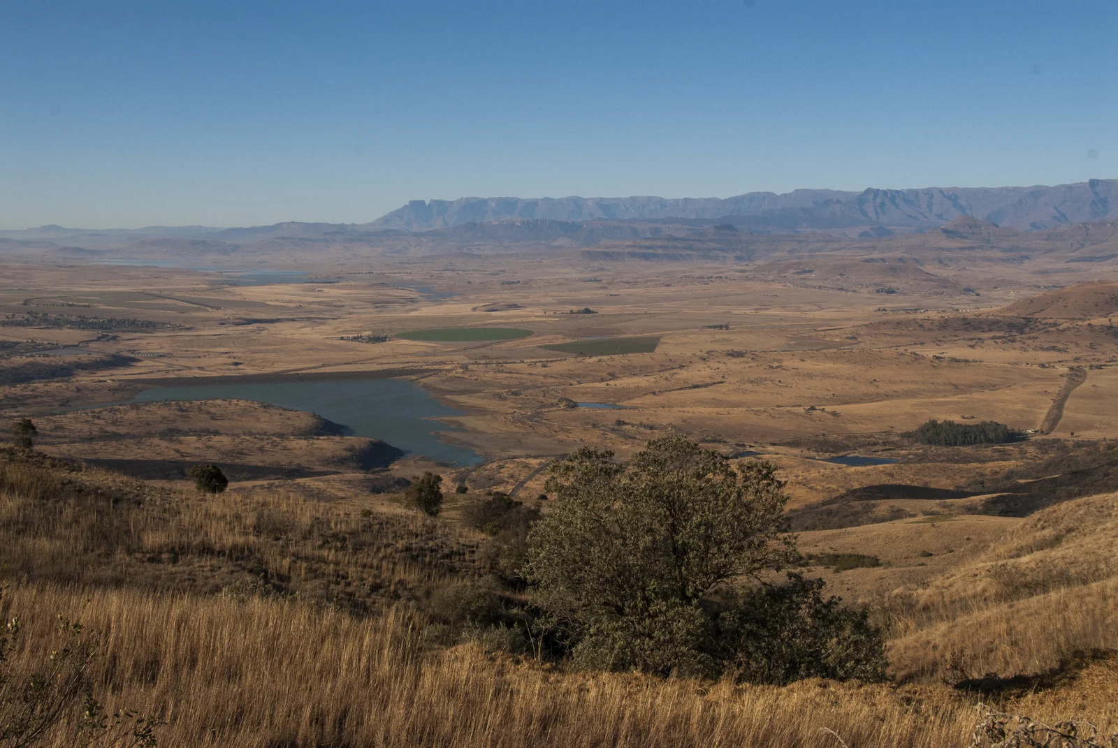 Grasslands in southern Africa. ©Rod Mast