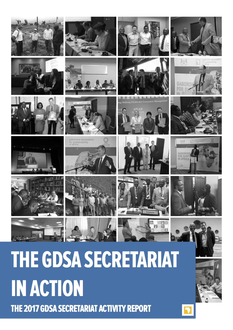 Cover page for the 2017 GDSA Secretariat Activity Report.