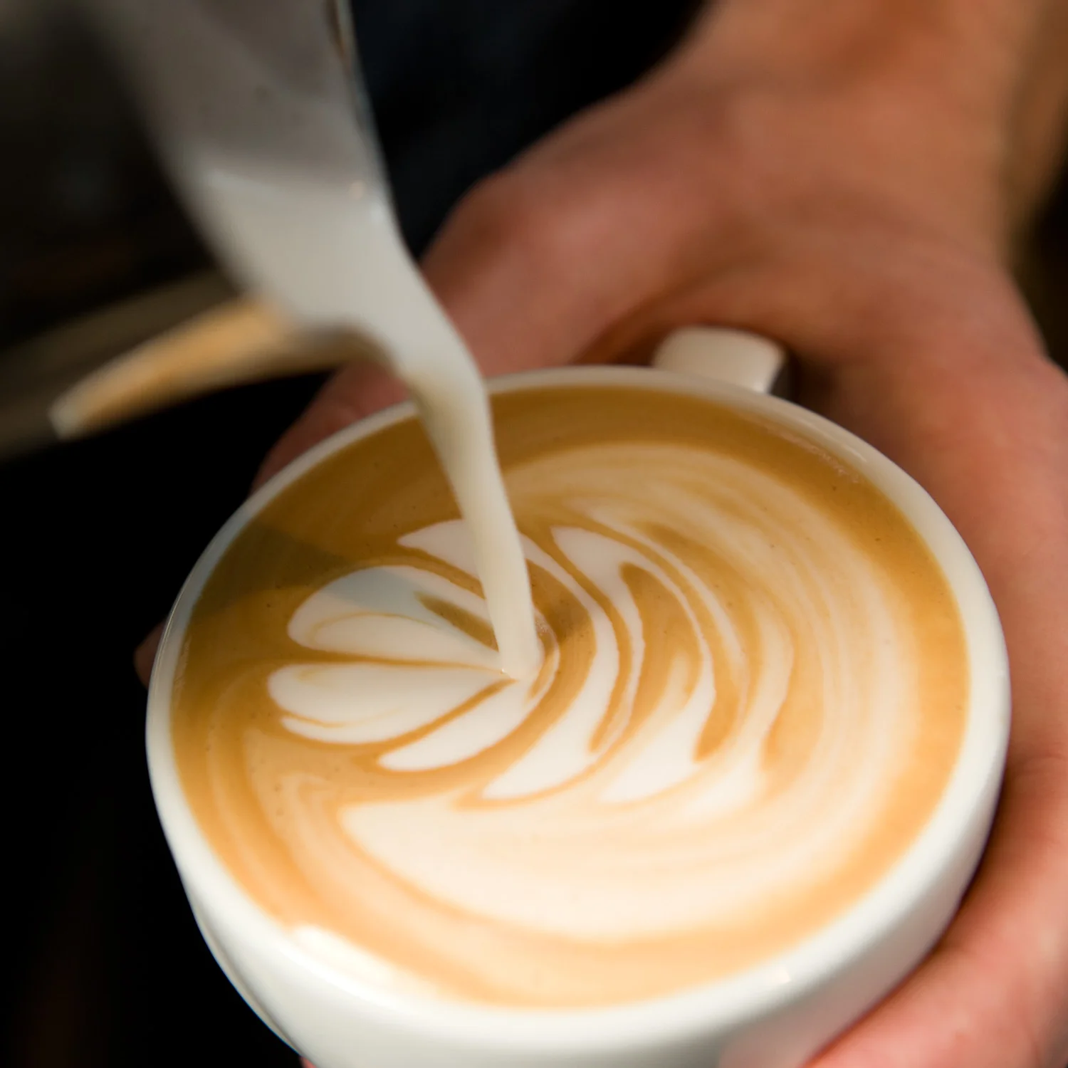 Privilege-koffietest-003.jpg