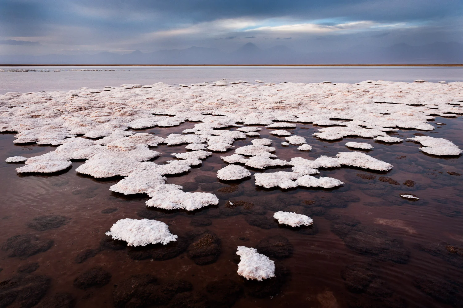 Laguna Tebinquinche, Atacama desert, Chili. Na een opdracht van Hadek ben ik een paar dagen door de Atacama desert gereden.